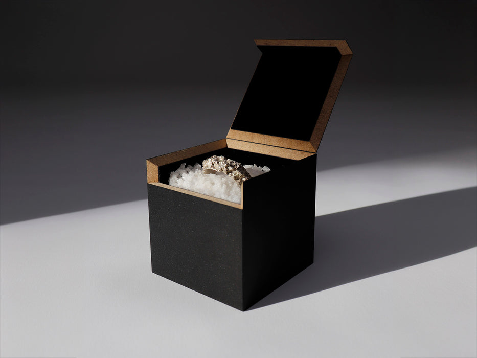 Eine schwarze, rechteckige Box mit geöffnetem Deckel präsentiert den Ring „Saalesilber“ auf groben Salzkristallen und Mineralclustern, allesamt auf weißem Untergrund. Schatten und Licht verstärken den dramatischen Kontrast der Szene.