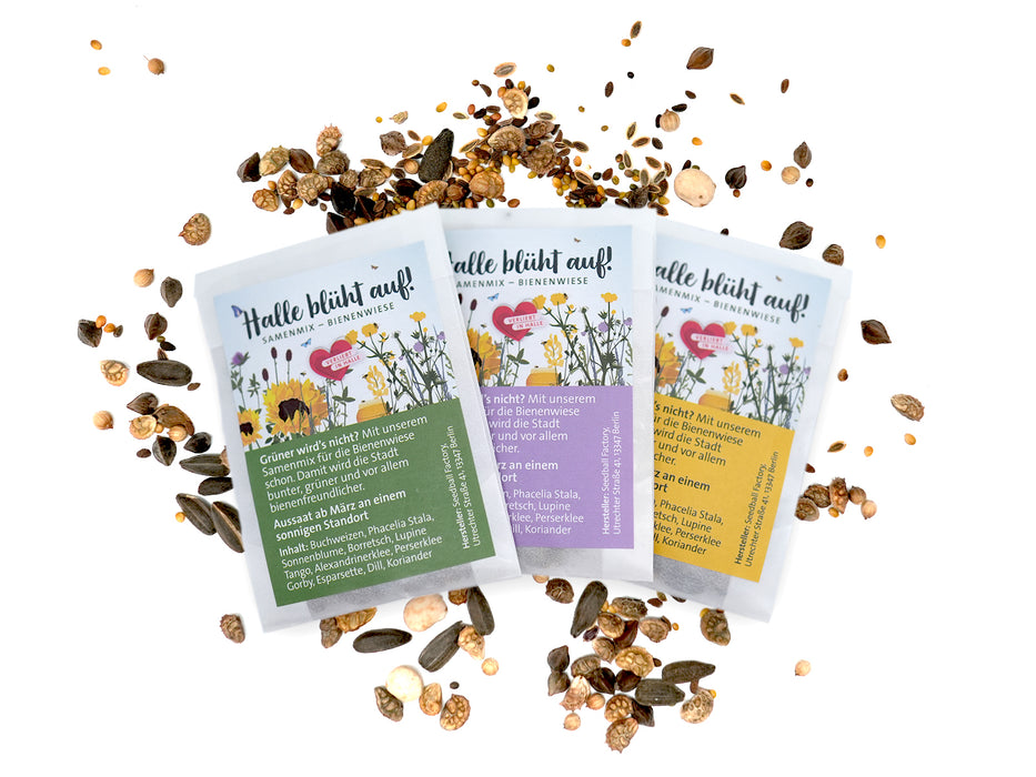 Drei bunte Samenpäckchen mit der Aufschrift „Samenmix ‚Bienenwiese‘“ und Blumen- und Bienenabbildungen liegen zwischen verstreuten Samen und Hülsen. Jedes Päckchen enthält eine einzigartige Wildblumenmischung zur Unterstützung der Bienen.