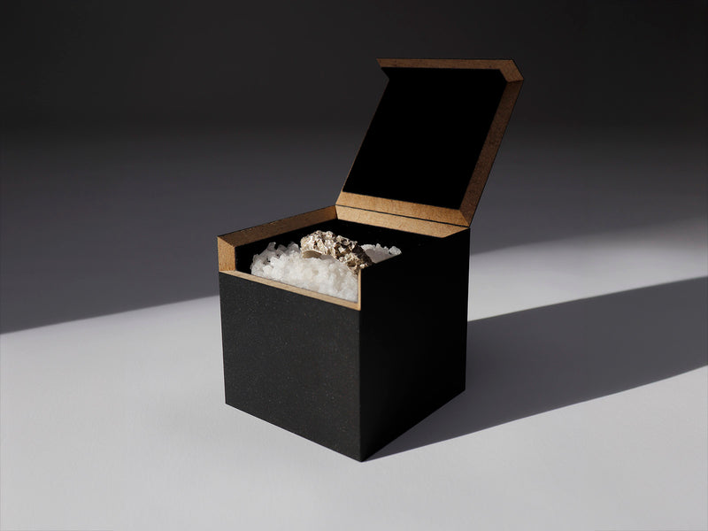 Eine schwarze, rechteckige Box mit geöffnetem Deckel präsentiert den Ring „Saalesilber“ auf groben Salzkristallen und Mineralclustern, allesamt auf weißem Untergrund. Schatten und Licht verstärken den dramatischen Kontrast der Szene.
