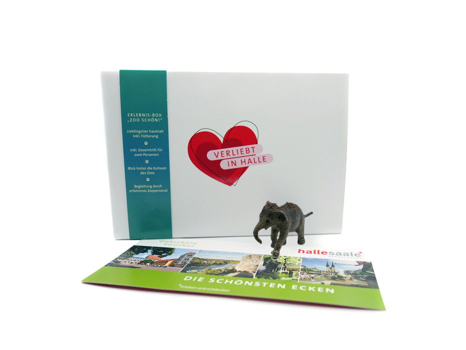 Erlebnis-Box "Zoo Schön" mit Elefant